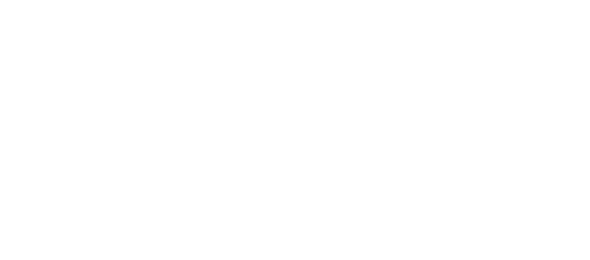 logo light