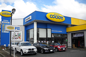スタイルコクピット新潟青山